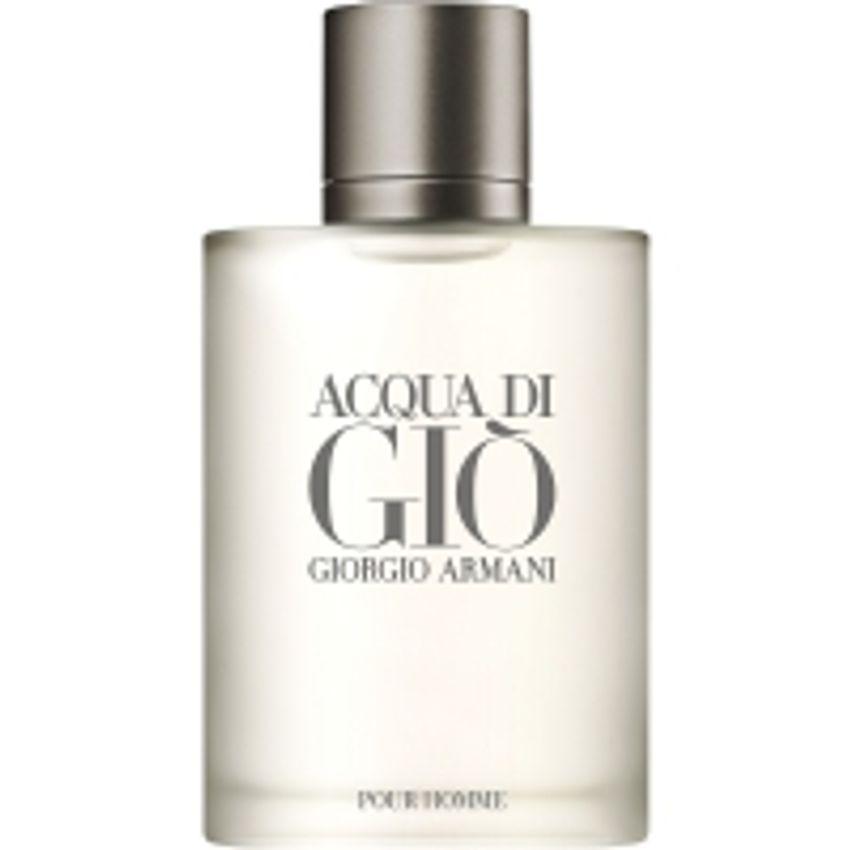 Perfume Giorgio Armani Acqua Di Giò Masculino EDT 100ml